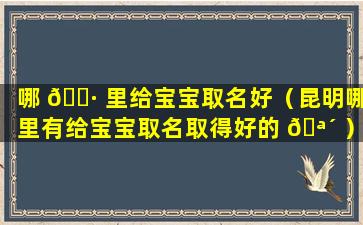 哪 🌷 里给宝宝取名好（昆明哪里有给宝宝取名取得好的 🪴 ）